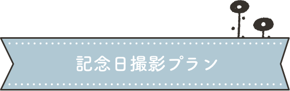 シンプルデータプラン