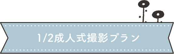 シンプルデータプラン